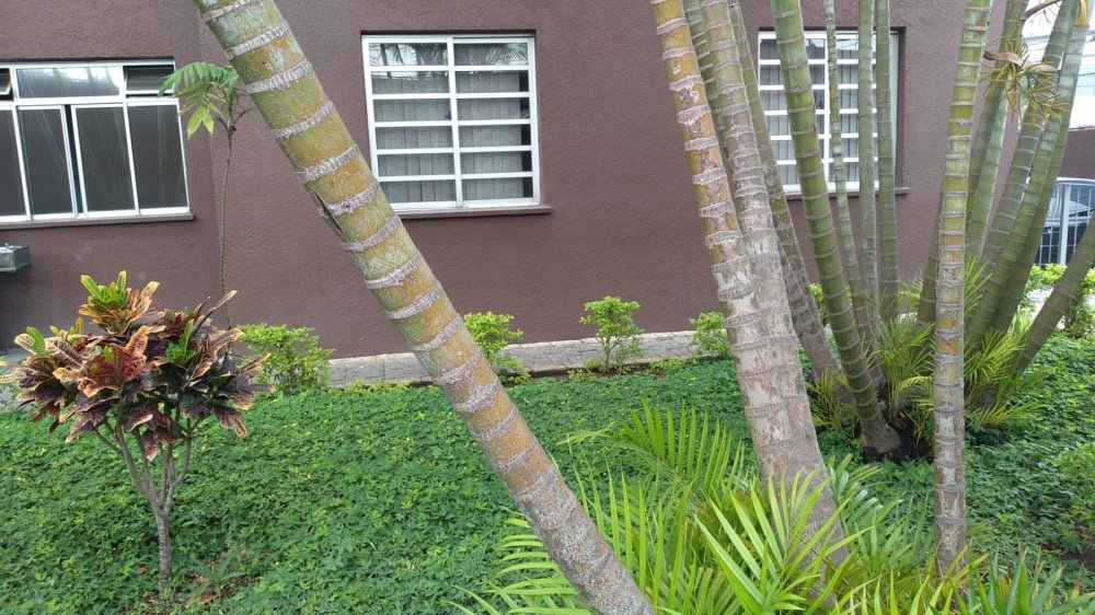 Apartamento, 2 quartos, 48 m² - Foto 11