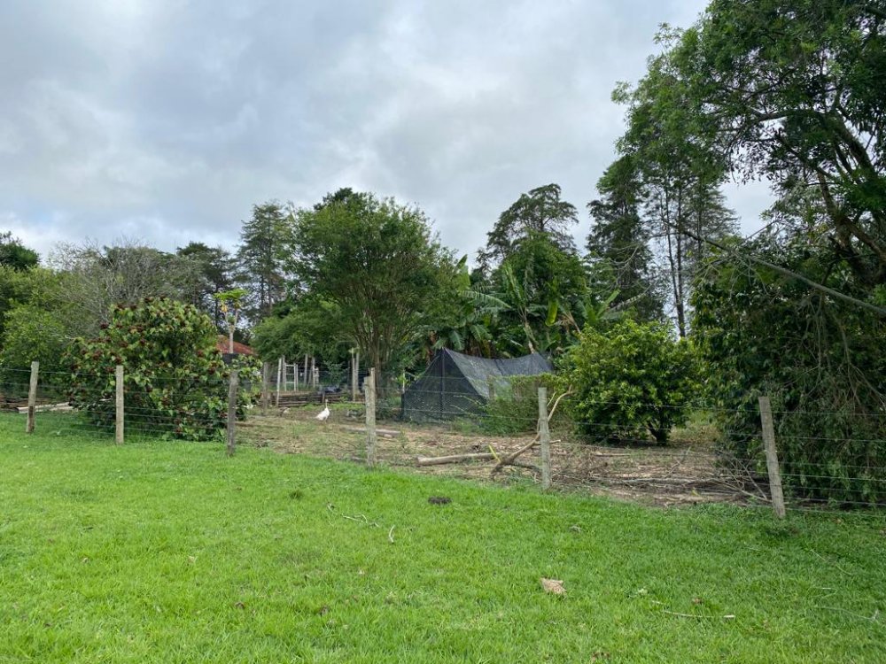 Sítio, 5 quartos, 18150 hectares - Foto 24