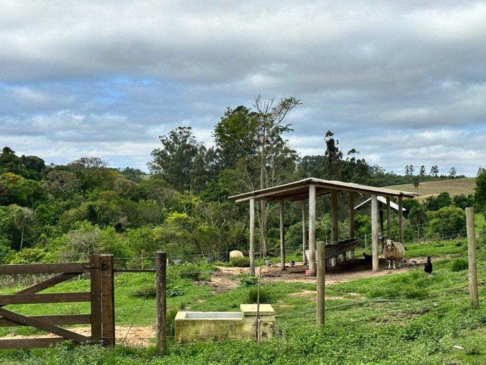 Sítio, 5 quartos, 18150 hectares - Foto 13