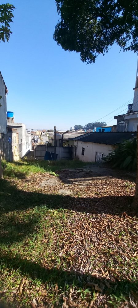 Terreno - Venda - Vila Buenos Aires - So Paulo - SP